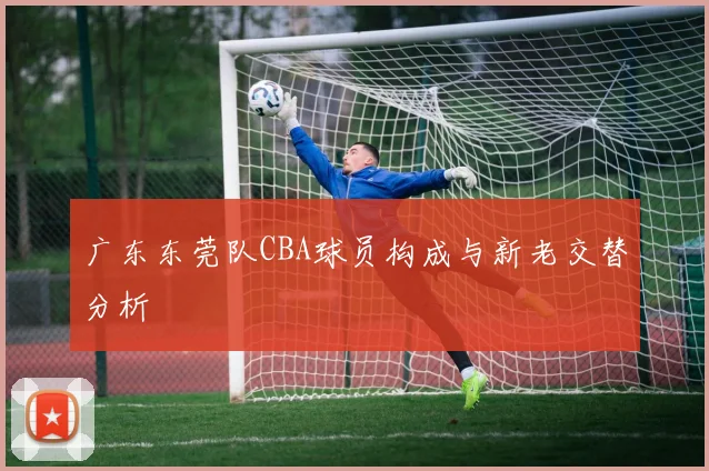 广东东莞队CBA球员构成与新老交替分析