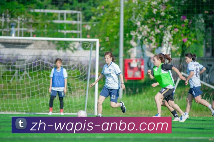 安博体育发展历程